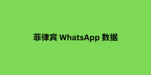 菲律宾 WhatsApp 数据