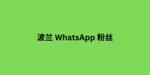 波兰 WhatsApp 粉丝